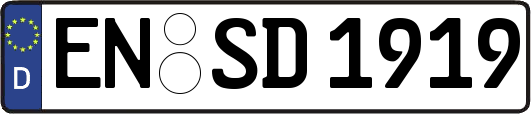 EN-SD1919