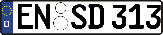 EN-SD313