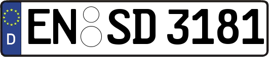 EN-SD3181