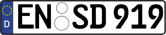 EN-SD919