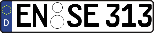 EN-SE313