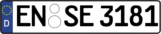 EN-SE3181