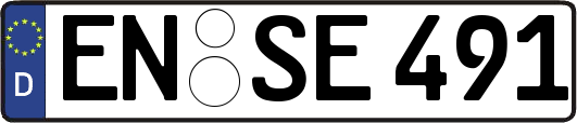 EN-SE491