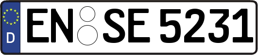 EN-SE5231