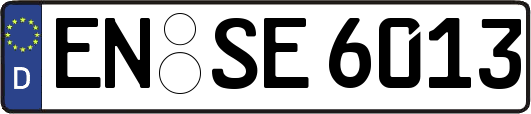 EN-SE6013