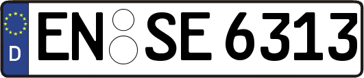 EN-SE6313