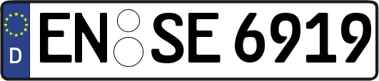 EN-SE6919