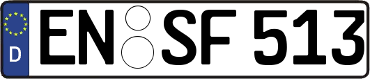 EN-SF513