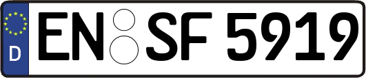 EN-SF5919