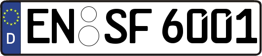 EN-SF6001