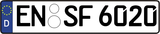EN-SF6020