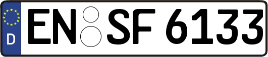 EN-SF6133