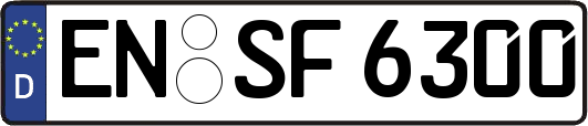 EN-SF6300