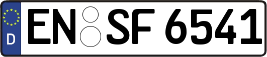 EN-SF6541