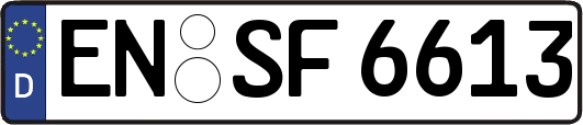 EN-SF6613