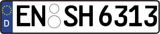 EN-SH6313