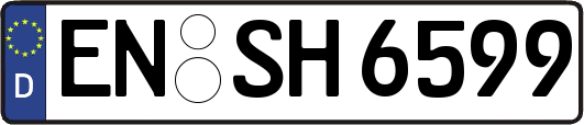 EN-SH6599
