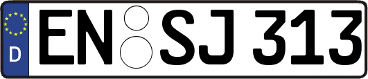 EN-SJ313