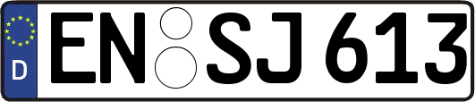 EN-SJ613