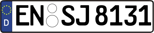EN-SJ8131