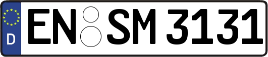 EN-SM3131