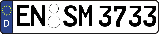 EN-SM3733