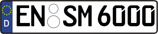 EN-SM6000