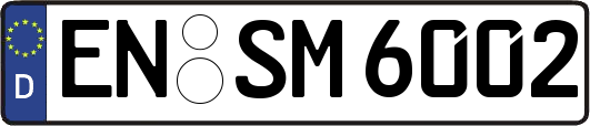 EN-SM6002