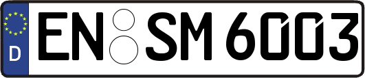 EN-SM6003