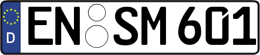 EN-SM601