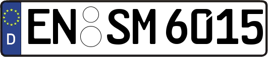 EN-SM6015