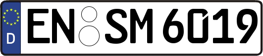 EN-SM6019
