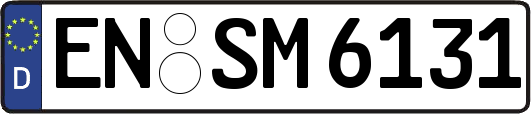 EN-SM6131