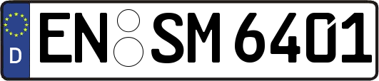 EN-SM6401