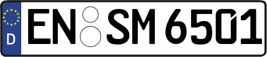 EN-SM6501
