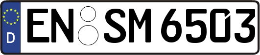EN-SM6503