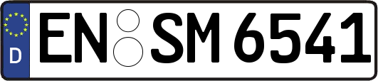 EN-SM6541