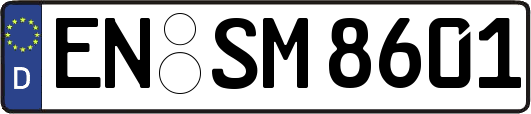 EN-SM8601
