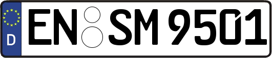 EN-SM9501
