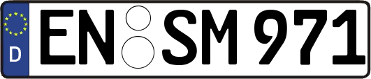 EN-SM971