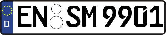 EN-SM9901