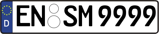 EN-SM9999