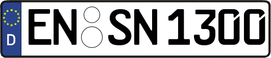 EN-SN1300