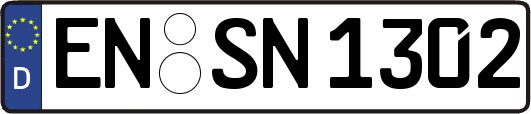 EN-SN1302