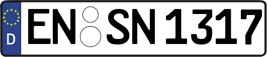 EN-SN1317