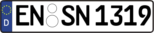 EN-SN1319