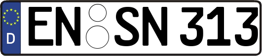 EN-SN313