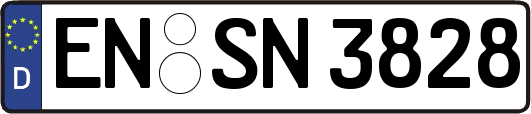 EN-SN3828