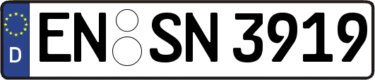 EN-SN3919