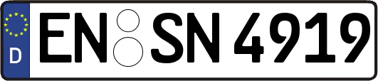 EN-SN4919